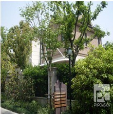 膜結(jié)構(gòu)車棚訂制