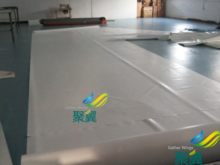 膜結(jié)構(gòu)